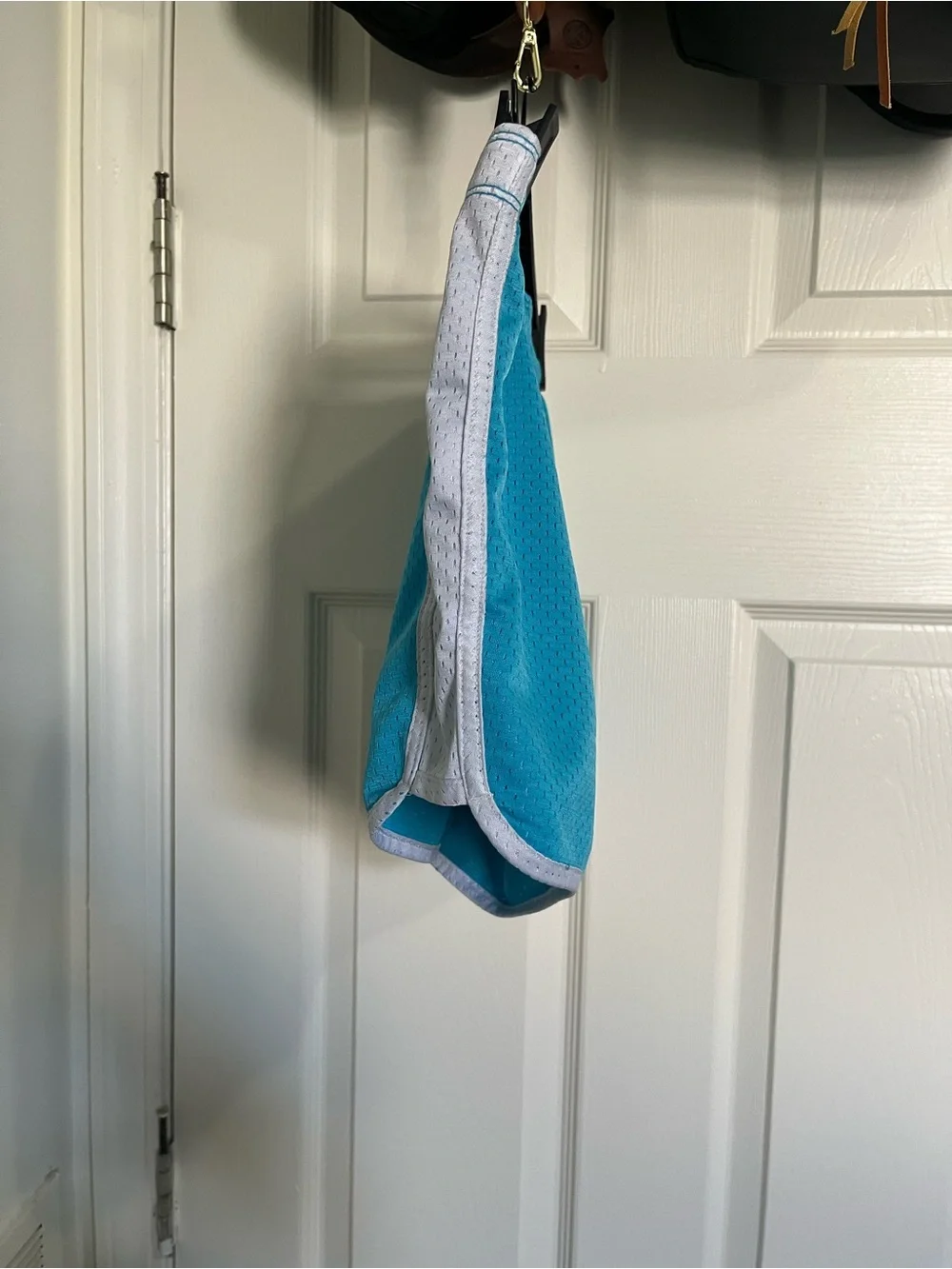 Teal and White Athletic Mesh Shorts